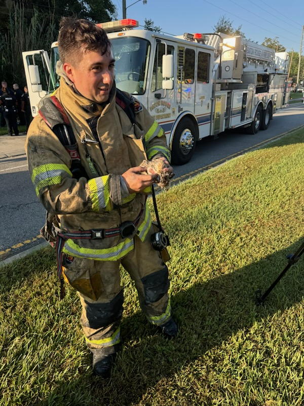 Firefighter in turnout gear
